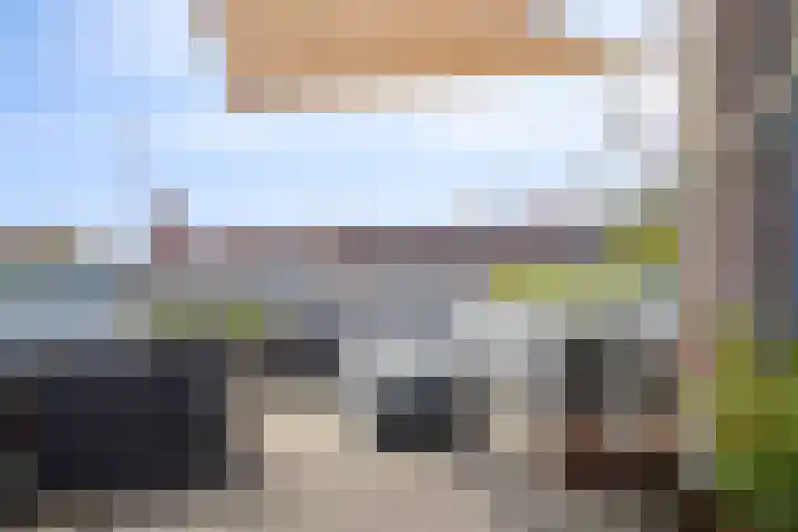 Kamperfoelie 39 Cuijk thumbnail 33