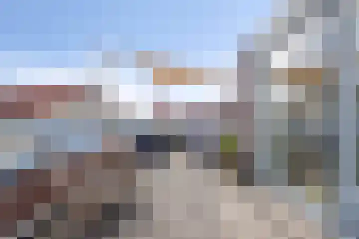 Kamperfoelie 39 Cuijk thumbnail 34