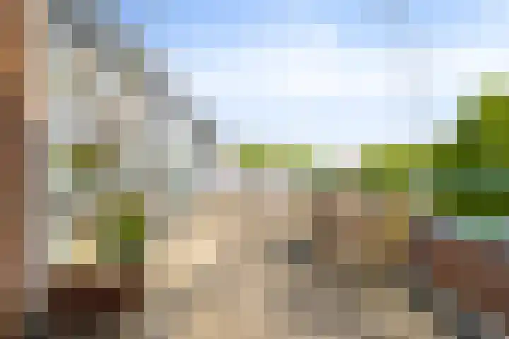 Kamperfoelie 39 Cuijk thumbnail 35