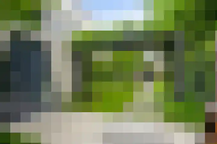 Kamperfoelie 39 Cuijk thumbnail 42