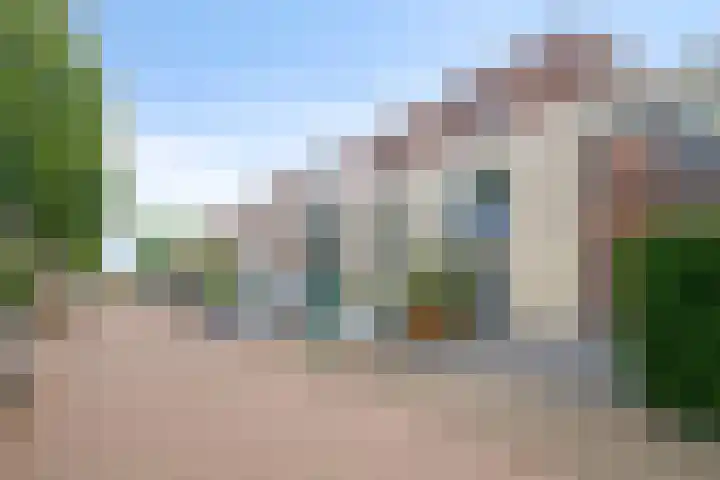 Kamperfoelie 39 Cuijk thumbnail 45