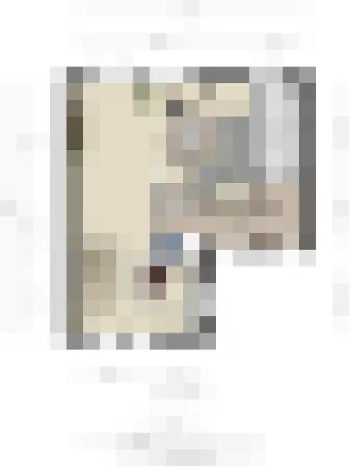 Kamperfoelie 39 Cuijk thumbnail 49