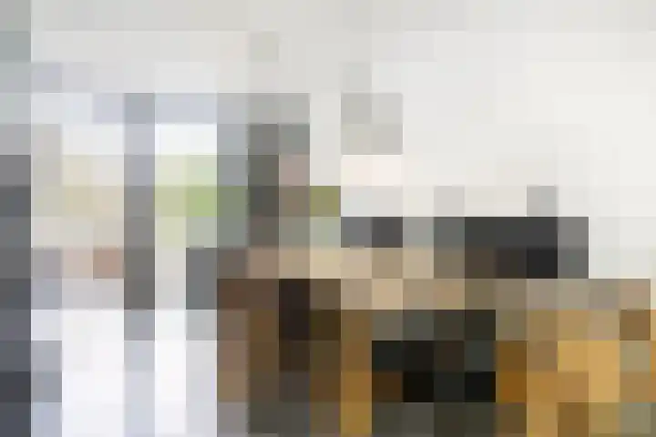 Kamperfoelie 39 Cuijk thumbnail 8