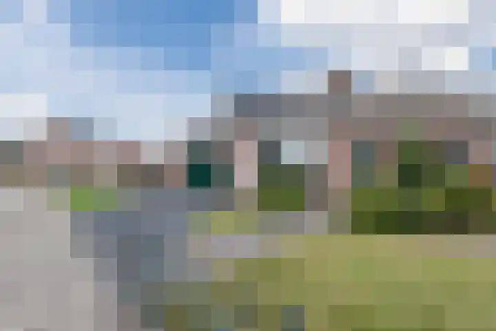 Kamperfoelie 4 in Nieuwleusen
