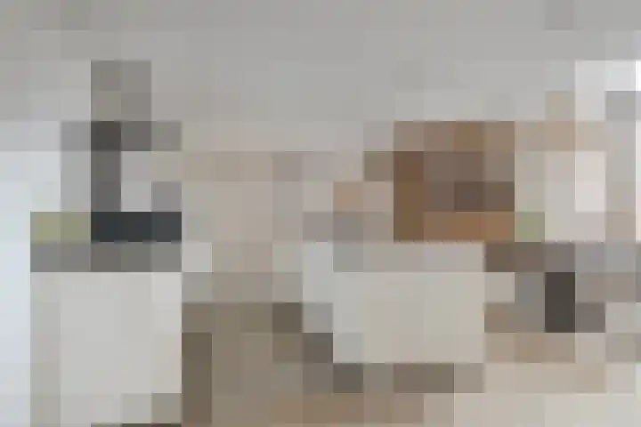 Kamperlaan 12 Haarlem thumbnail 12