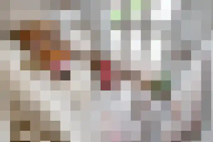 Kamperlaan 12 Haarlem thumbnail 14