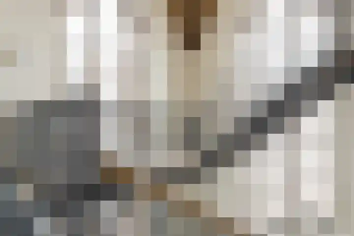 Kamperlaan 12 Haarlem thumbnail 26