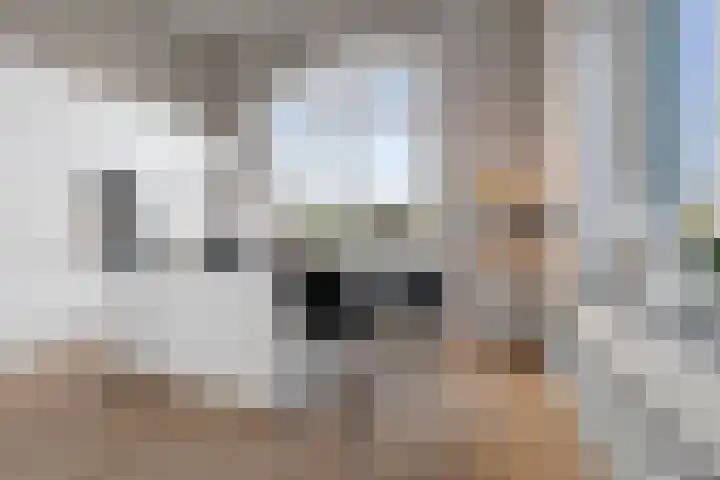 Kamperlaan 38 Haarlem thumbnail 19