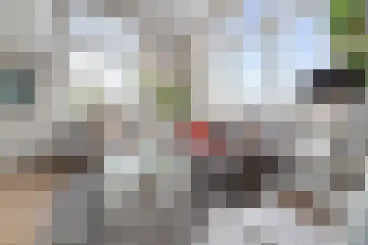 Kamperlaan 38 Haarlem thumbnail 9