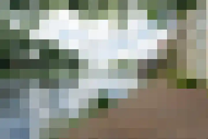 Kamperlaan 52 Haarlem thumbnail 31