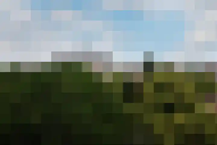 Kamperlaan 78 Haarlem thumbnail 18