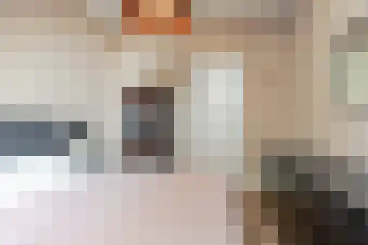 Kamperlaan 78 Haarlem thumbnail 32