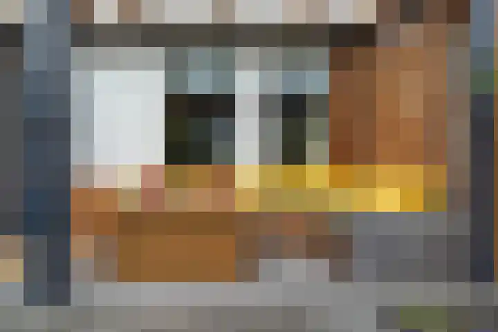 Kamperzand 26 Huizen thumbnail 14