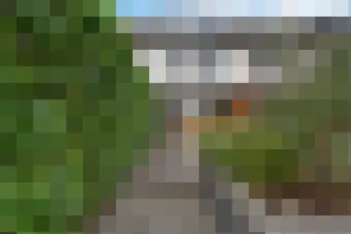 Kamperzand 26 Huizen thumbnail 18