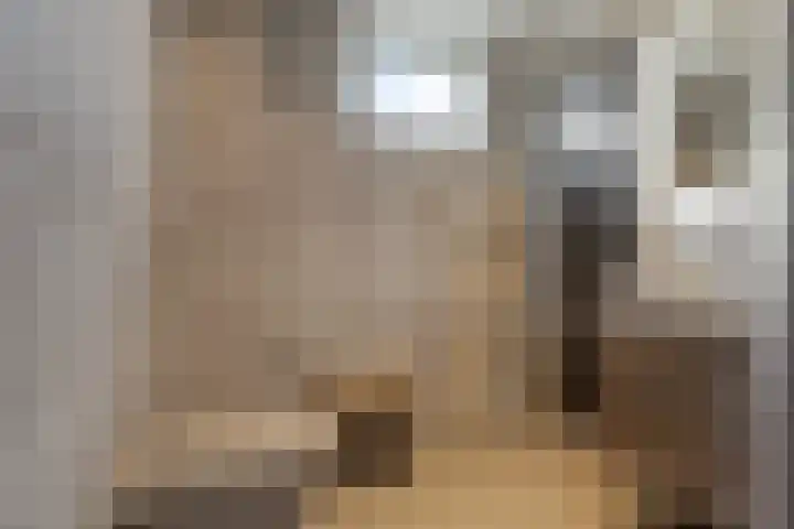 Kamperzand 26 Huizen thumbnail 29