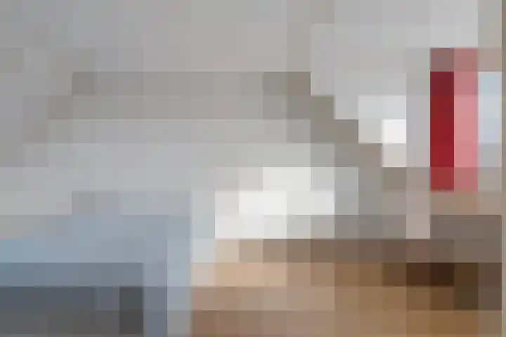 Kamperzand 26 Huizen thumbnail 31