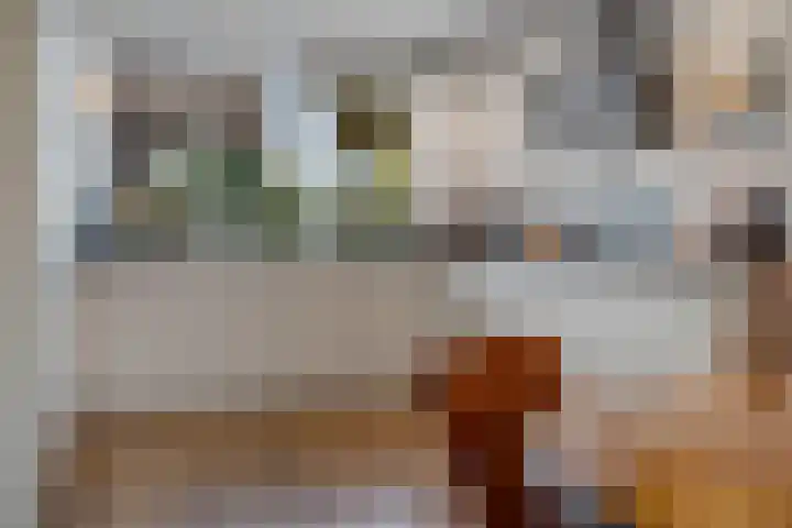 Kamperzand 26 Huizen thumbnail 5