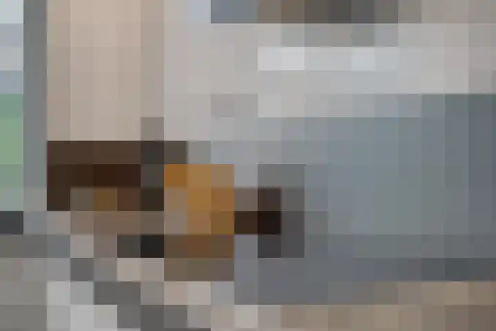 Kamperzand 26 Huizen thumbnail 7