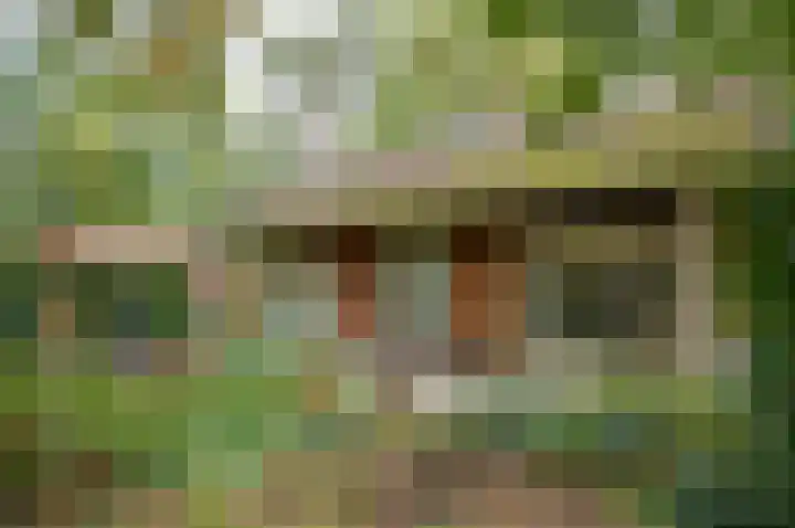 Kamphuizerweg 7 Vorden thumbnail 10