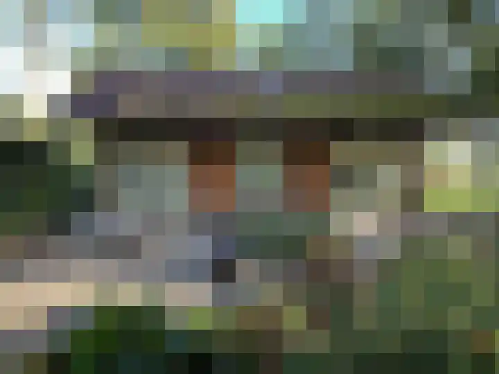 Kamphuizerweg 7 Vorden thumbnail 11