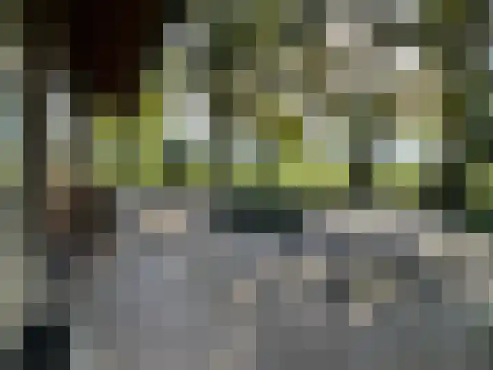 Kamphuizerweg 7 Vorden thumbnail 12
