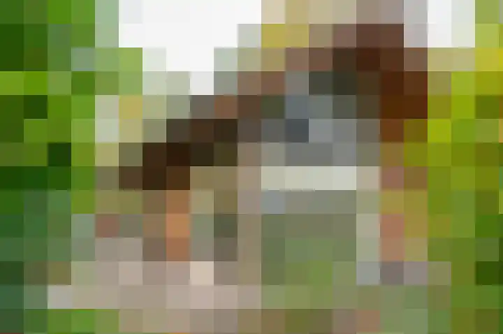 Kamphuizerweg 7 Vorden thumbnail 14