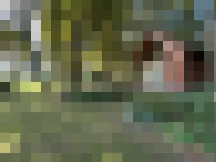 Kamphuizerweg 7 Vorden thumbnail 15