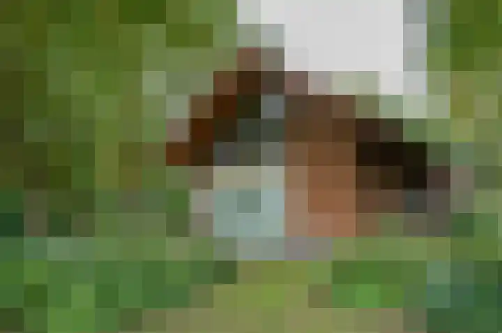 Kamphuizerweg 7 Vorden thumbnail 17