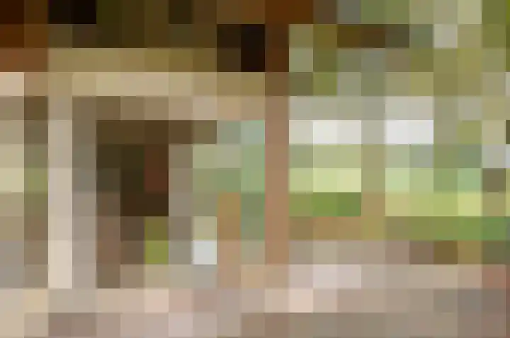 Kamphuizerweg 7 Vorden thumbnail 22