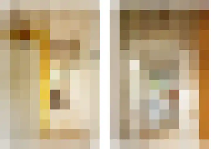 Kamphuizerweg 7 Vorden thumbnail 28