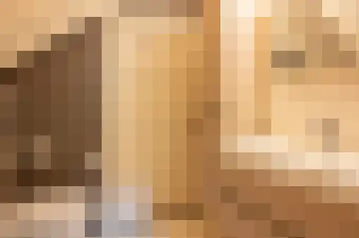 Kamphuizerweg 7 Vorden thumbnail 35
