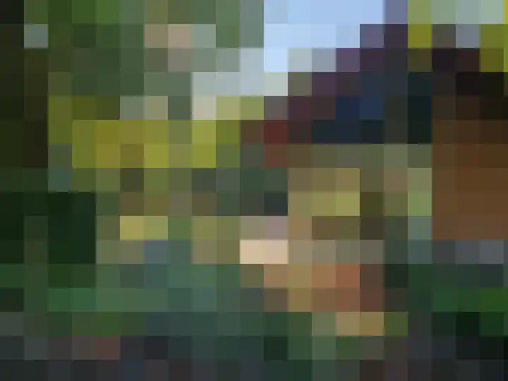 Kamphuizerweg 7 Vorden thumbnail 37