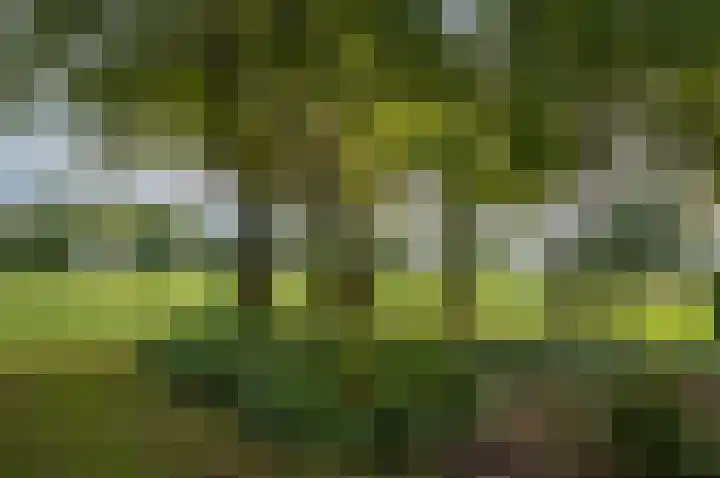 Kamphuizerweg 7 Vorden thumbnail 38