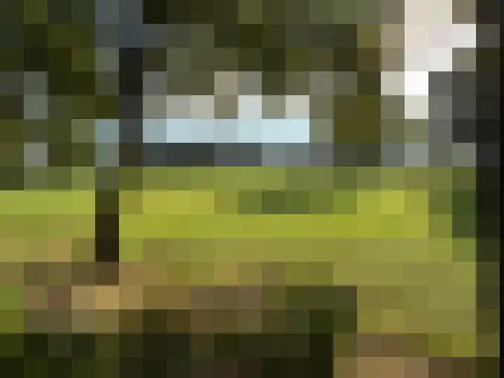 Kamphuizerweg 7 Vorden thumbnail 39