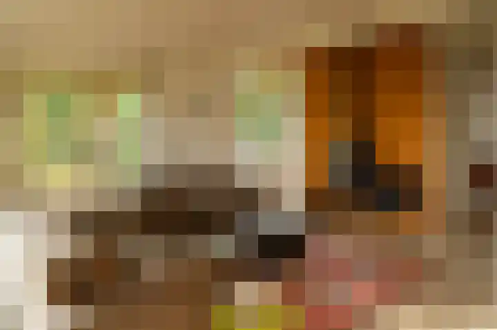 Kamphuizerweg 7 Vorden thumbnail 4