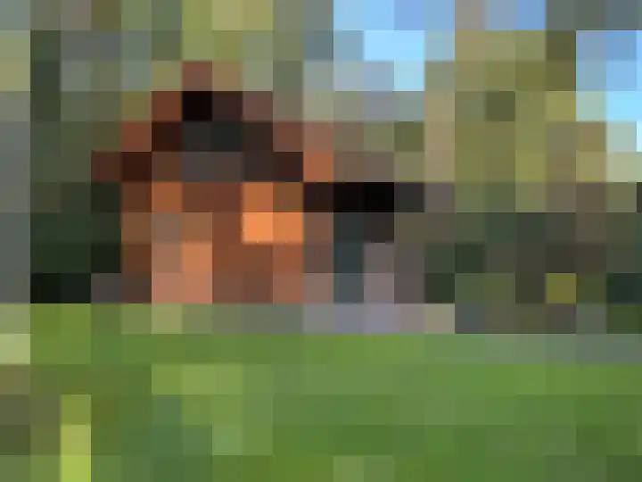 Kamphuizerweg 7 Vorden thumbnail 44