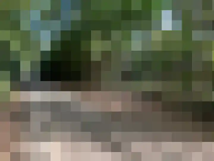 Kamphuizerweg 7 Vorden thumbnail 5