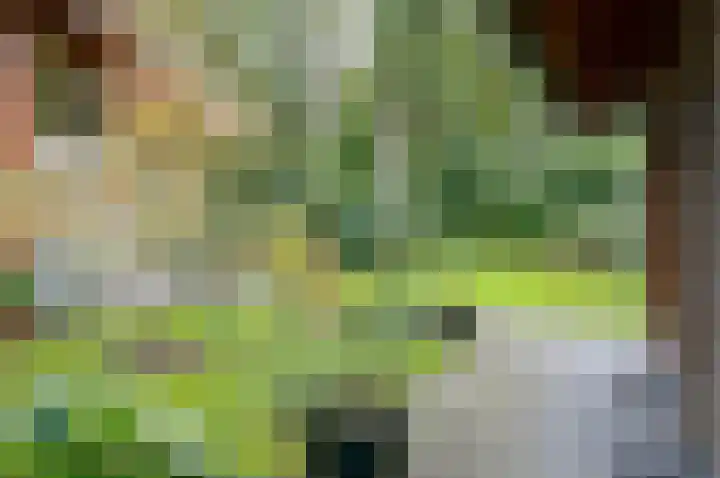 Kamphuizerweg 7 Vorden thumbnail 51