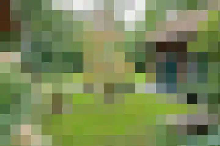 Kamphuizerweg 7 Vorden thumbnail 52
