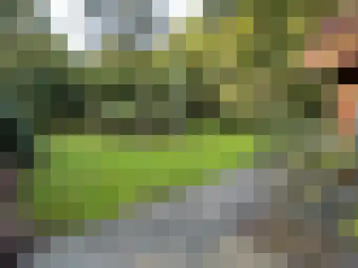 Kamphuizerweg 7 Vorden thumbnail 53