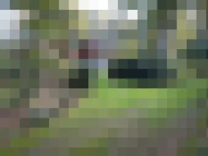 Kamphuizerweg 7 Vorden thumbnail 54