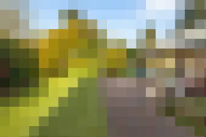 Kamplaan 1 Wezep foto 2