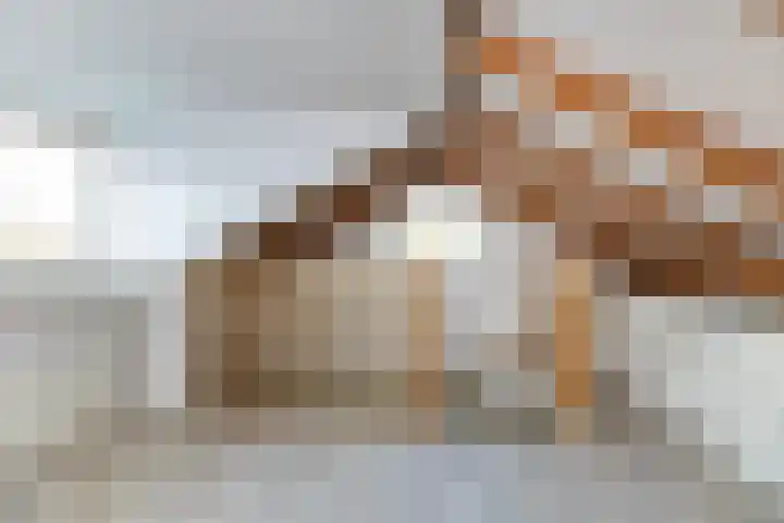 Kamplaan 1 Wezep thumbnail 27