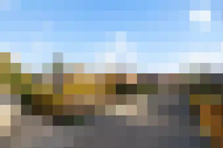 Kamplaan 1 Wezep foto 3