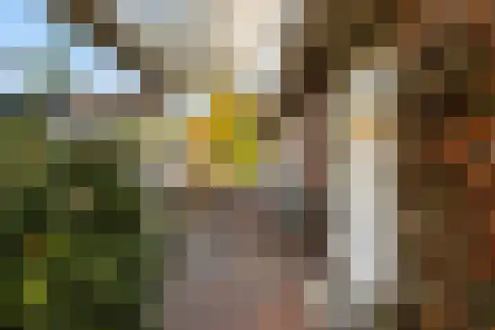 Kamplaan 1 Wezep thumbnail 30