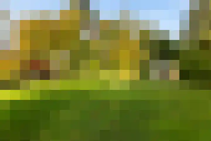 Kamplaan 1 Wezep thumbnail 34