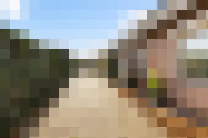 Kamplaan 1 Wezep thumbnail 5
