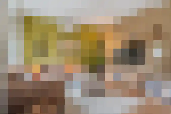Kamplaan 7 Heiligerlee thumbnail 11