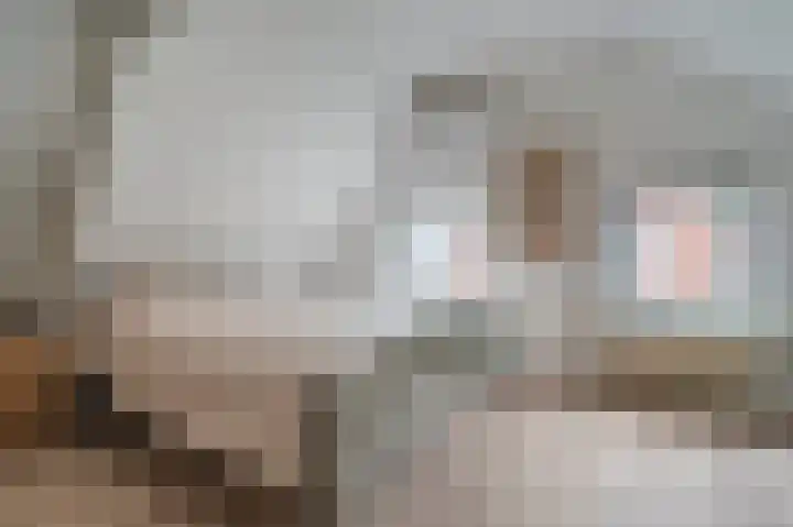 Kamplaan 7 Heiligerlee thumbnail 28