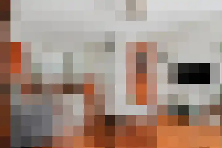 Kamprechter 29 Oss thumbnail 10
